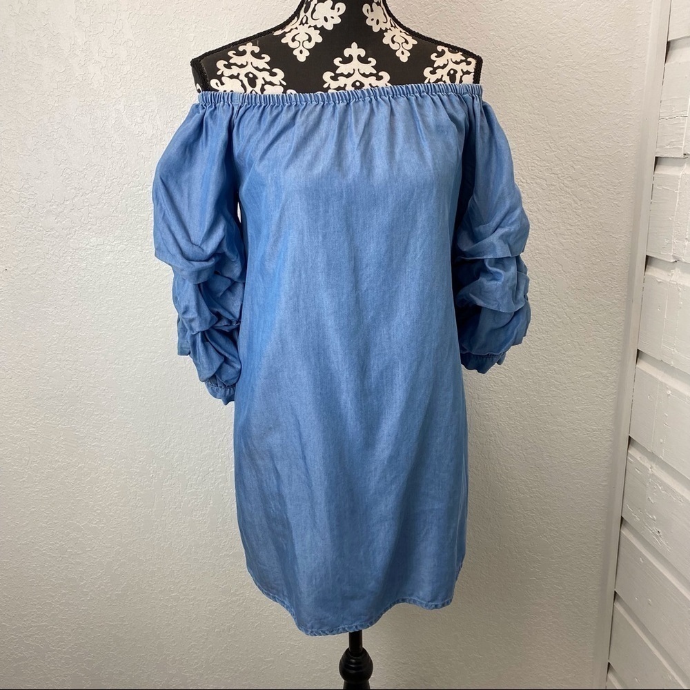 Zara Ruffle Sleeve Chambray Denim Off Shoulder Dress - Picture 11 of 16